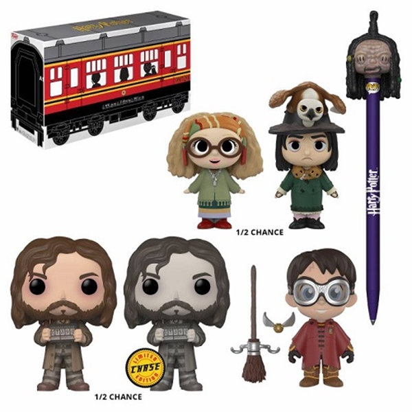 Mystery Box Hogwarts Limited Edition Harry Potter Funko Exclusivo